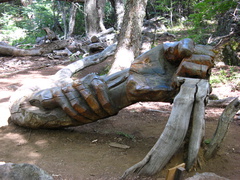 IMG 1096 Bosque Tallado een bos met beeldhouwwerken