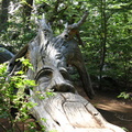 IMG 1104 Bosque Tallado een bos met beeldhouwwerken