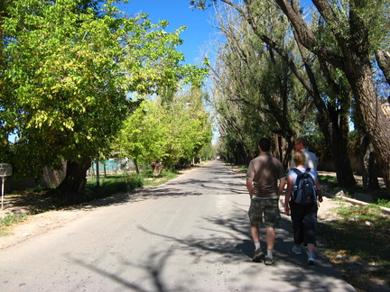 IMG 3647 Lopen lopen lopen