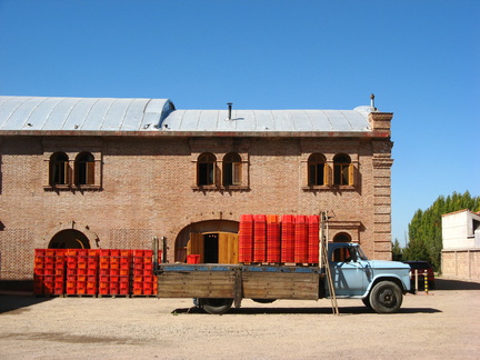 IMG 3658 Bodega Weinert