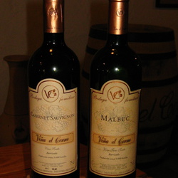 2007-04 Wijn Proeven Maipu