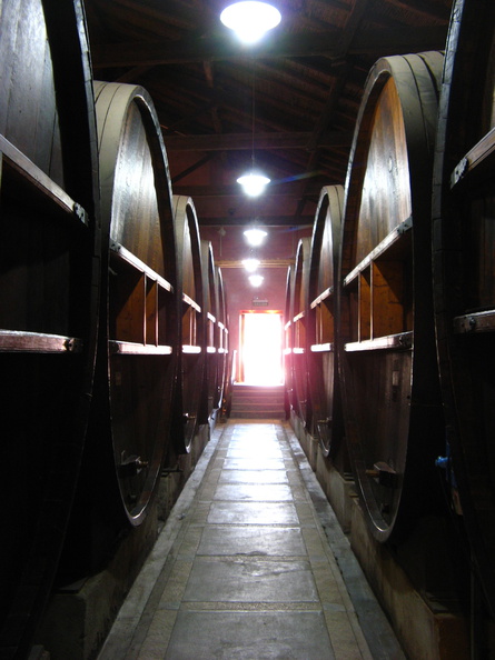 IMG_3551_Wijnkelders_van_het_wijnmuseum_van_Bodega_Rural_Rutini.jpg