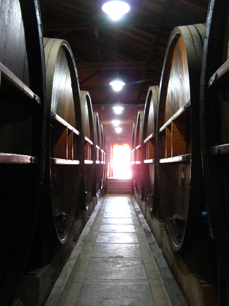 IMG 3551 Wijnkelders van het wijnmuseum van Bodega Rural Rutini