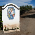 IMG 3584 De wijngaard van La Rural