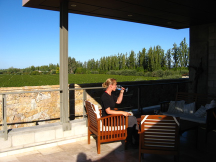 IMG 3614b Dakterras Tempus Alba met daarachter hun proefveld met 300 varieteiten Malbec