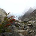 IMG 2295 Glaciar Piedras Blancas