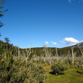 IMG 2987 Parque Nacional Tierra del Fuego