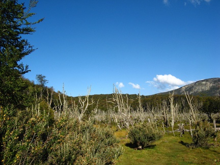 IMG 2987 Parque Nacional Tierra del Fuego