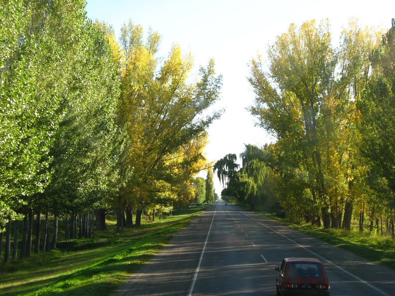 IMG_3774_Prachtige_herfstkleuren_in_de_Mendoza_provincie.jpg