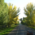 IMG_3774_Prachtige_herfstkleuren_in_de_Mendoza_provincie.jpg