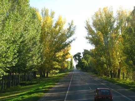 IMG 3774 Prachtige herfstkleuren in de Mendoza provincie