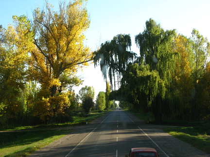 IMG 3775 Prachtige herfstkleuren in de Mendoza provincie