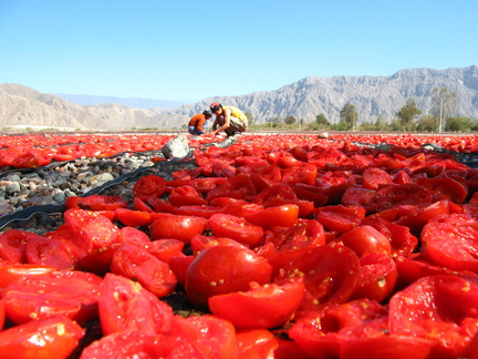 IMG 3824 Zongedroogde tomaten
