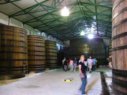IMG 3837 Enorm grote wijntonnen bij Graffigna
