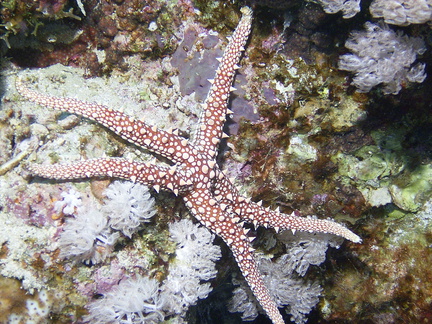 R0011837