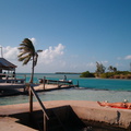 IM004336 Bas ligt te zonnen aan de Split van Caye Caulker