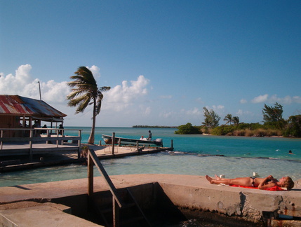 IM004336 Bas ligt te zonnen aan de Split van Caye Caulker