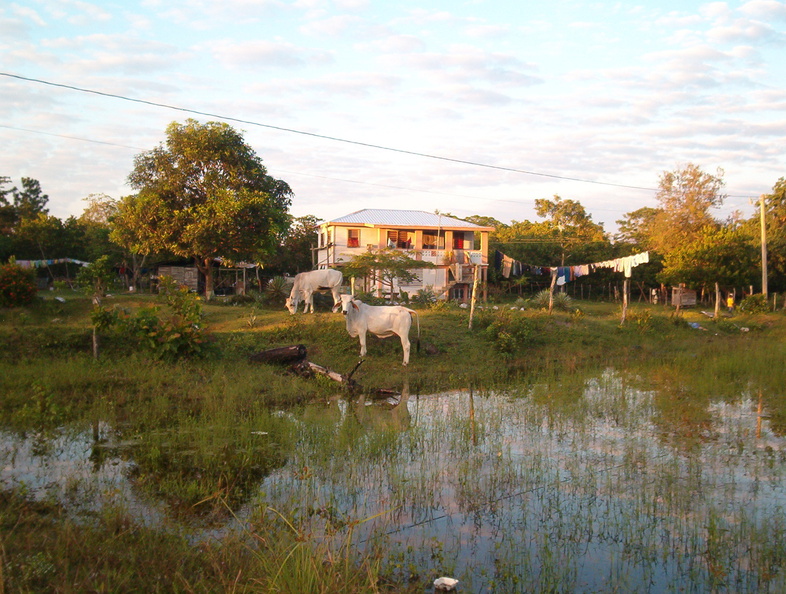 IM004255_Huis_in_Crooked_Tree.jpg