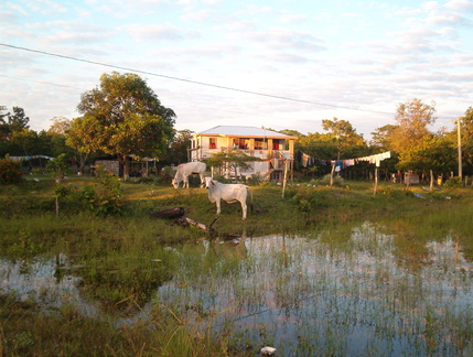 IM004255 Huis in Crooked Tree