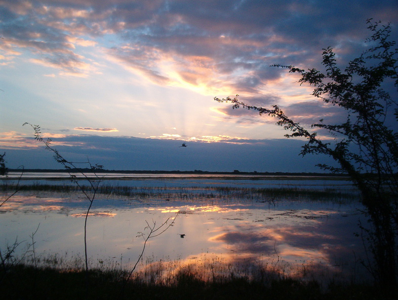 IM004260_Zonsopgang_in_Crooked_Tree.jpg