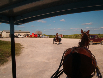 IM004221 In de wagen