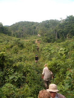 IM004441 Trail to the cave