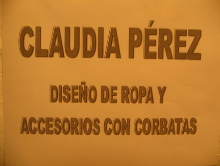 IMG 8790 Claudia Perez werk met stropdassen