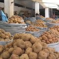 IMG 9330 kilootje meer of minder aardappels