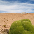 IMG 9717