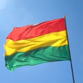 IMG_9892_Boliviaanse_vlag.jpg