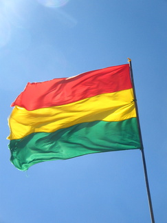 IMG 9892 Boliviaanse vlag
