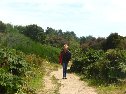 IMG 1802 Alsof we in Nederland aan het wandelen zijn