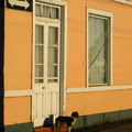 IMG_3307_Elk_huis_heeft_zijn_eigen_straathonden.jpg