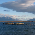 IMG 3310 Haven Puerto Natales