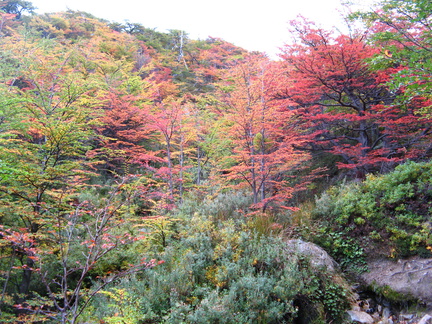 IMG 3106 Herfstkleuren tijdens klim naar Torres lookout