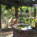 IMG 8550 Casa de Felipe in Taganga