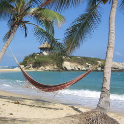 2006-02 Tayrona