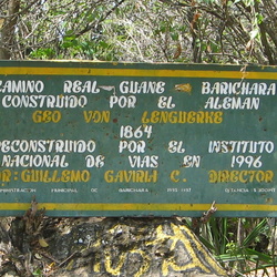 2006-03 Guane