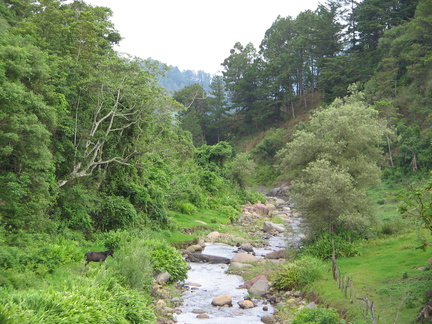 IMG 1449 Rivier tussen Las Pilas en de grens met Honduras