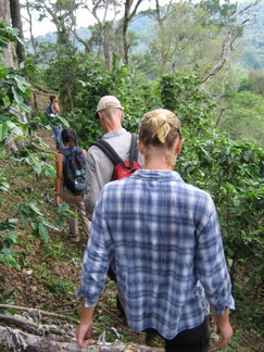 Eelco en Bas door de koffieplantage foto Adam Gerson