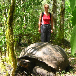 2006-05 Santa Cruz