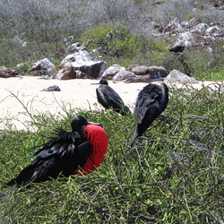 2006-05 North Seymore