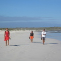 IMG 1198 Wandelen op het strand Turtuga Bay