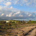 IMG 1213 Landschap bij Tortuga Bay
