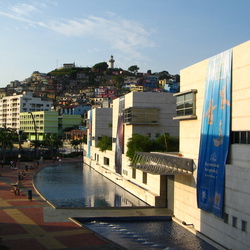 2006-05 Guayaquil