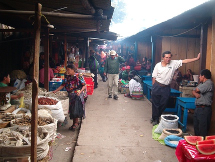 IM004830 Weer terug op de markt