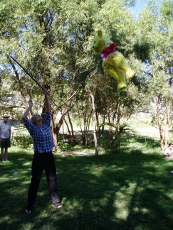 IM005044a Bas slaat de pinata