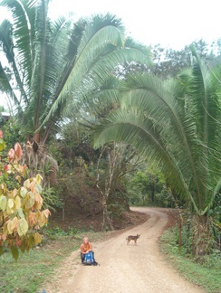 IM006040 Wandelen van Lanquin naar Semuc Champey