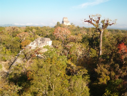 IM006219 Uitzicht vanaf de Pyramid op Templo IV