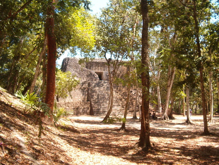 IM006275 Ver weg gelegen ruines in de jungle